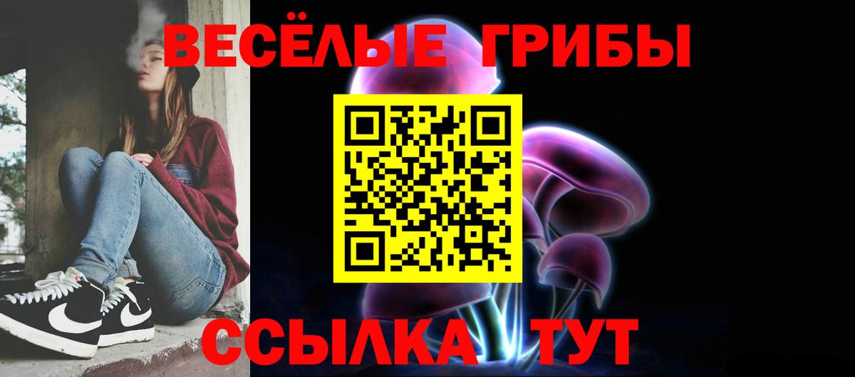 Галлюциногенные грибы Magic Shrooms  Вход с VPN  купить наркотик  Моздок 
